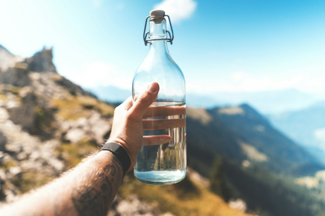 Green substitutes for disposable plastics.